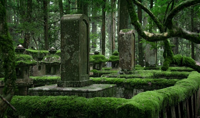 japon-agac-mezarliklari