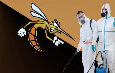 sivrisinek-kasintisina-careler