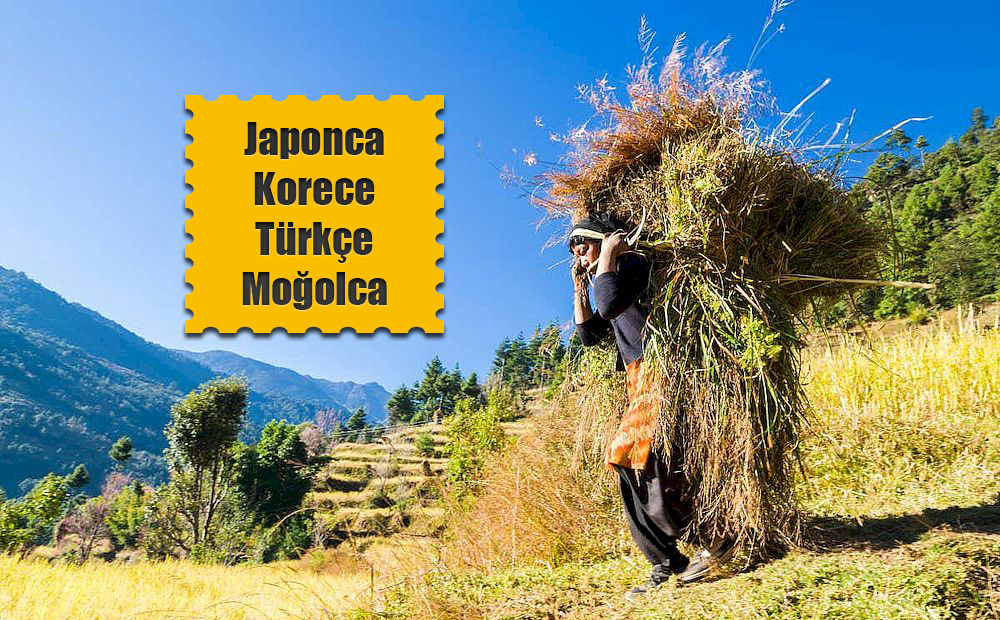 japonca-korece-turkce