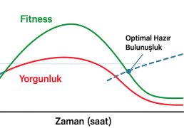 voleybolcular-icin-mac-sonrasi-dinlenme-rehberi