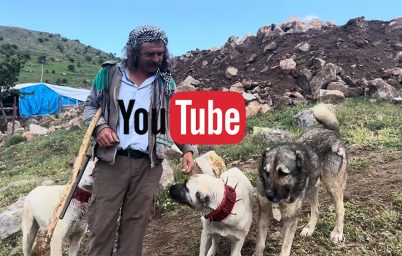 1970lerden-firlamis-gibiler