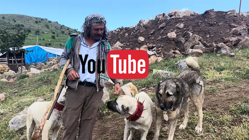 1970lerden-firlamis-gibiler