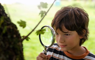 dogada-matematiksel-zarafet