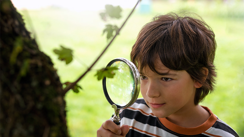 dogada-matematiksel-zarafet