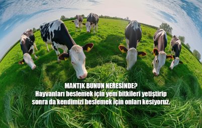 hayvancilikta-sozde-yeni-uretim-teknikleri