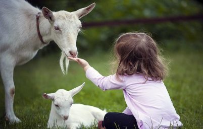 hangi-sut-daha-iyi-kas-ve-kemik-sagligiyla-baglantili