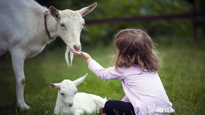 hangi-sut-daha-iyi-kas-ve-kemik-sagligiyla-baglantili