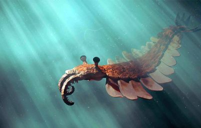 okyanusta-oksijen-seviyesinin-yukselmesi