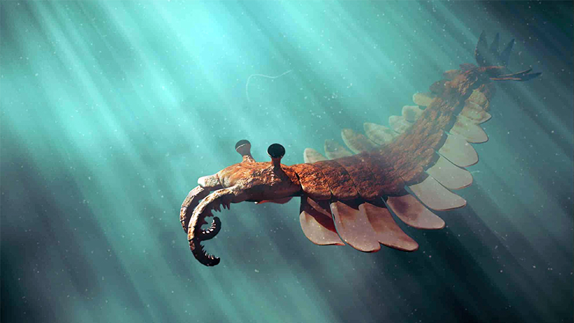 okyanusta-oksijen-seviyesinin-yukselmesi