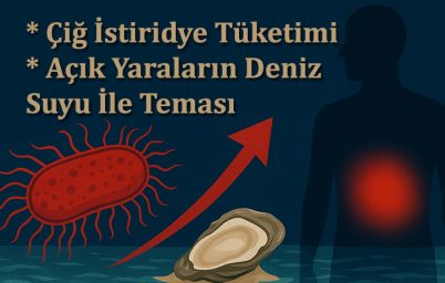 et-yiyen-bakteride-tehlikeli-yukselis