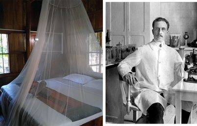 opucuk-bocegi-ve-chagas-hastaligi-yayiliyor