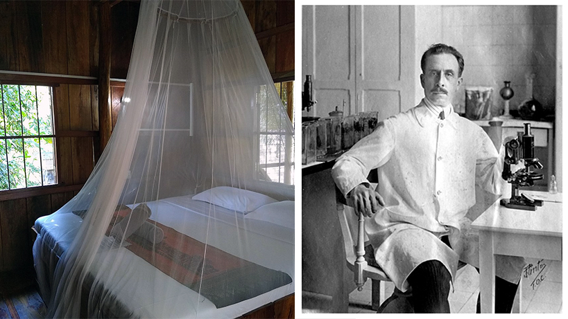 opucuk-bocegi-ve-chagas-hastaligi-yayiliyor