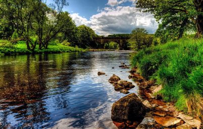 nehirlerin-karacigerinden-sevindirici-haber