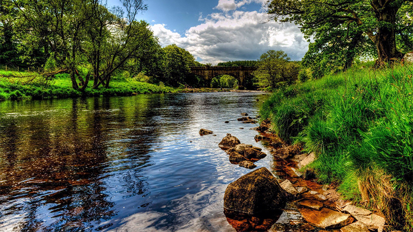 nehirlerin-karacigerinden-sevindirici-haber