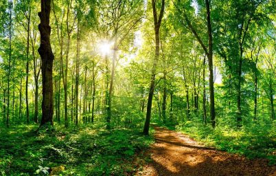 mahsul-uretiminde-luk-bir-artis