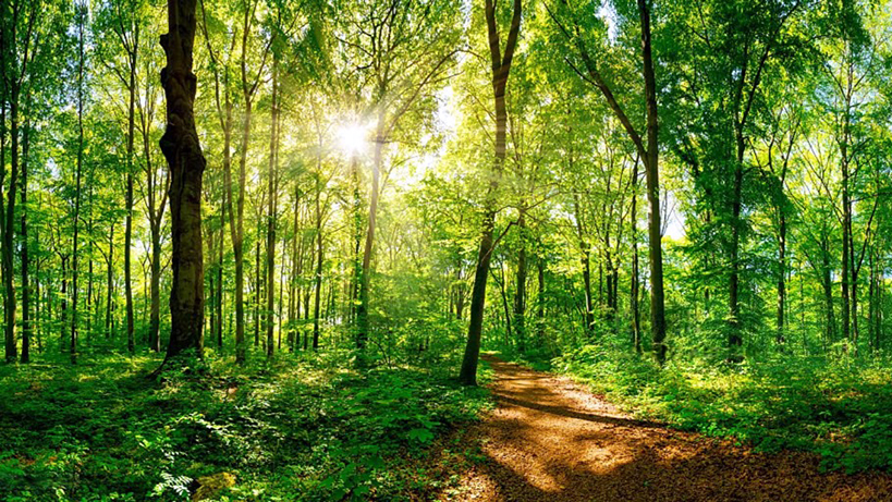 mahsul-uretiminde-luk-bir-artis