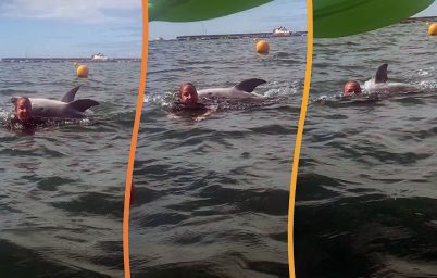 yunus-reggienin-davranislari-degisiyor