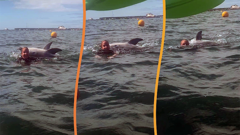 yunus-reggienin-davranislari-degisiyor