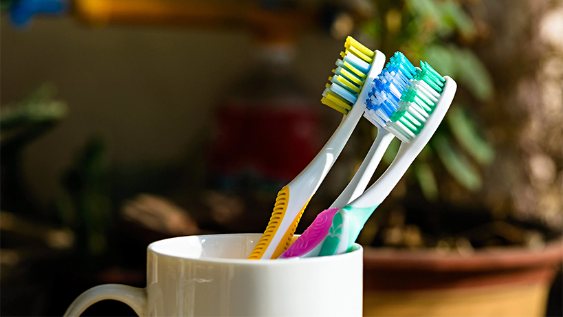 dis-fircanizdaki-gizli-yasam