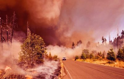 rapor-gezegen-ucurumun-esiginde