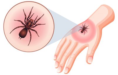 kene-sayisindaki-artis-endise-verici