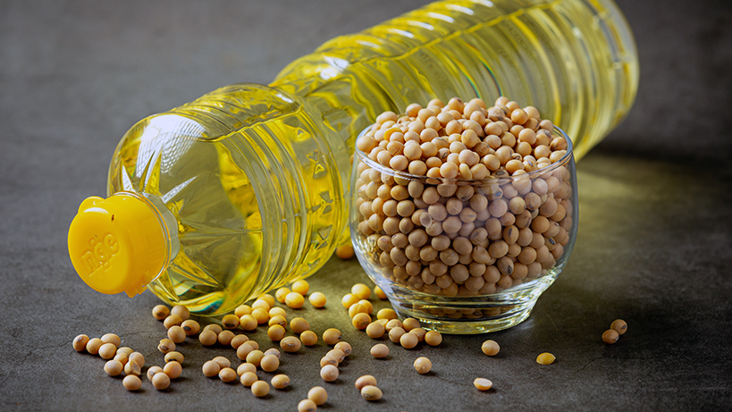 soya-yagi-obezite-riskini-artirabilir