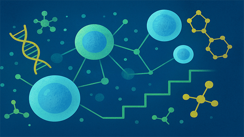 yasamin-buyumesinde-evrensel-sinirlar