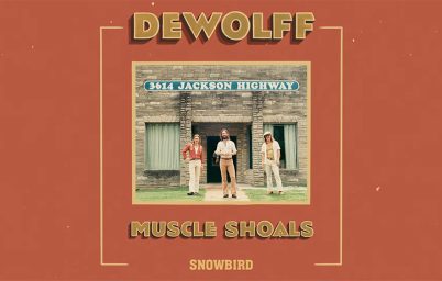 hafta-sonu-dinletisi-dewolff