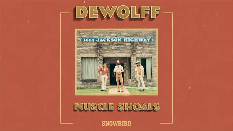 hafta-sonu-dinletisi-dewolff