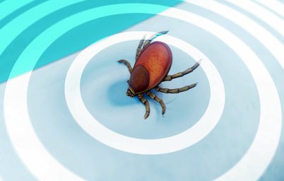 kislar-uzadikca-keneler-surekli-aktif-kaliyor