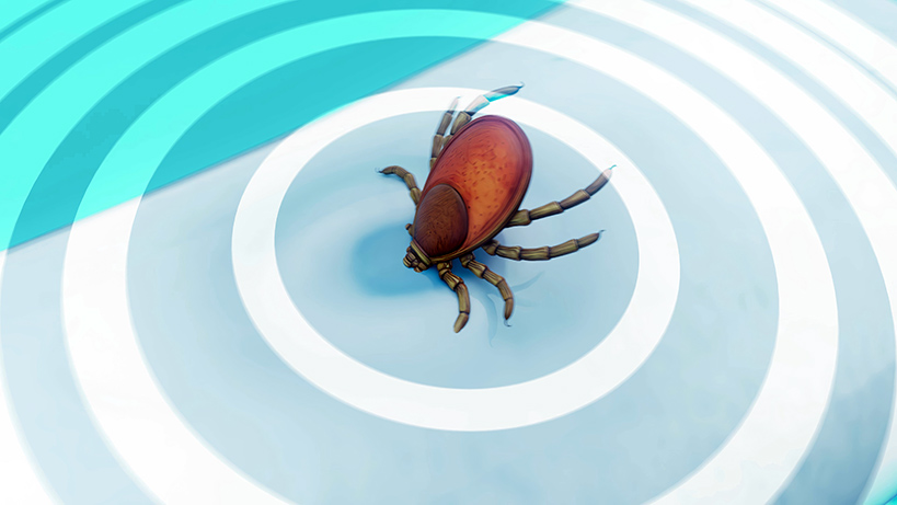 kislar-uzadikca-keneler-surekli-aktif-kaliyor