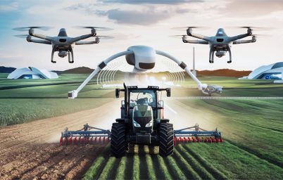 asirlik-gelenek-dijital-bir-devrim-geciriyor