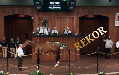 atcilik-sektorunde-yarislar-yalnizca-sahnedir