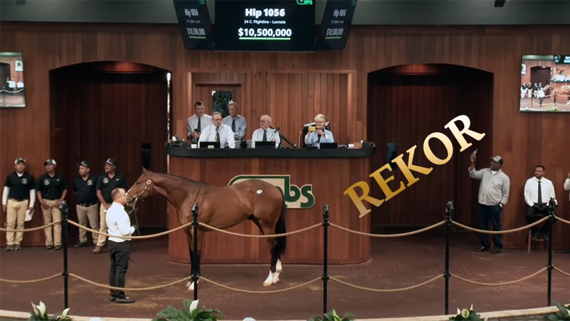 atcilik-sektorunde-yarislar-yalnizca-sahnedir