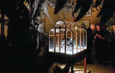 moda-mi-bilim-deneyi-mi