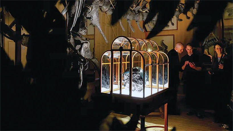 moda-mi-bilim-deneyi-mi