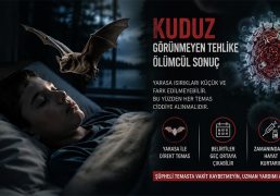 gorunmeyen-isirik-olum-getirdi