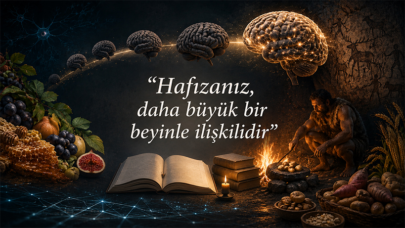 insan-evrimindeki-enerji-denklemi