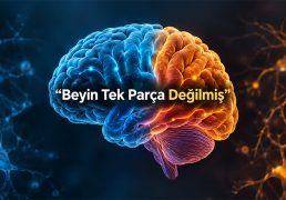 beynin-kokeni-yeniden-yaziliyor
