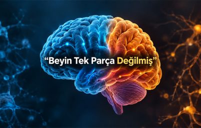 beynin-kokeni-yeniden-yaziliyor