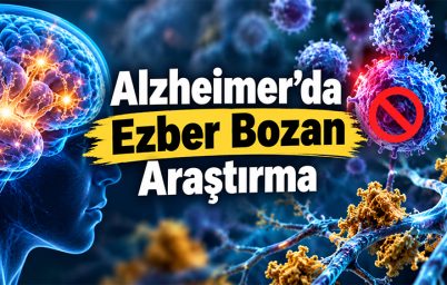 alzheimerda-beyni-korumak-icin-yeni-bir-yaklasim
