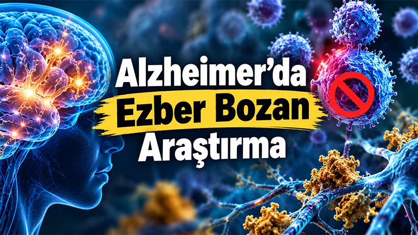 alzheimerda-beyni-korumak-icin-yeni-bir-yaklasim