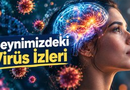 beynin-evriminde-eski-viruslerin-gizli-rolu