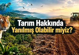 tarim-buyurken-doga-yok-oluyor